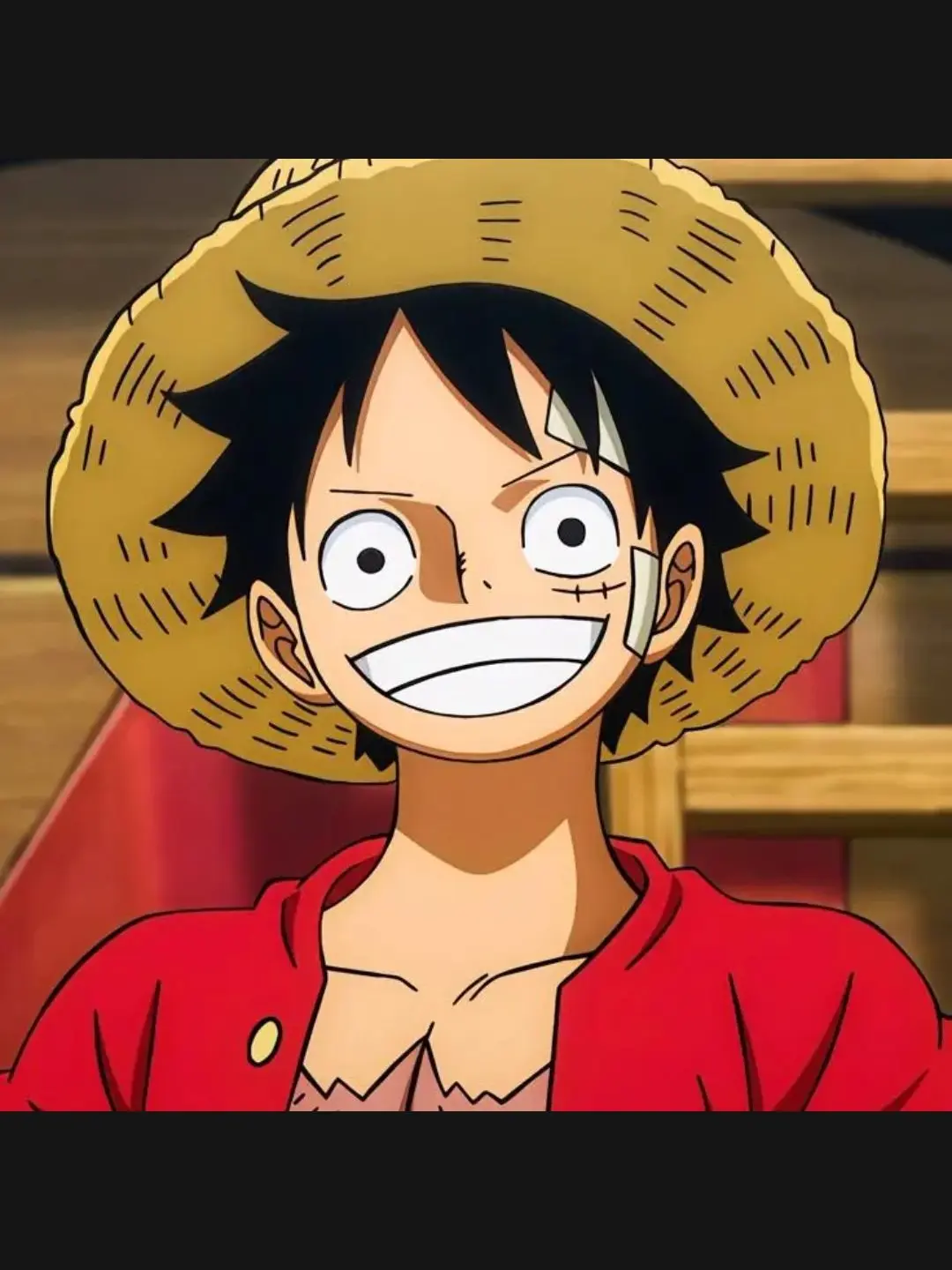 FlimsyMarsh8341의 ルフィ愛され？！