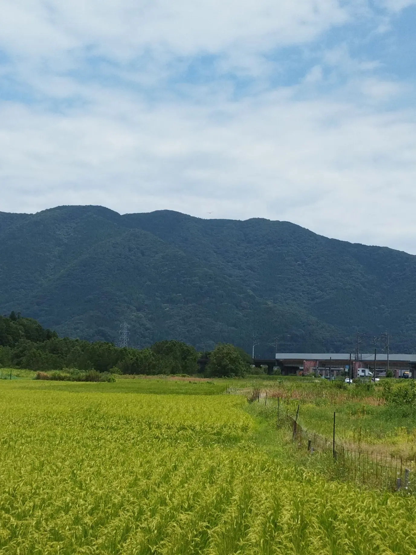 PrimalFrame0181의 夏の思い出