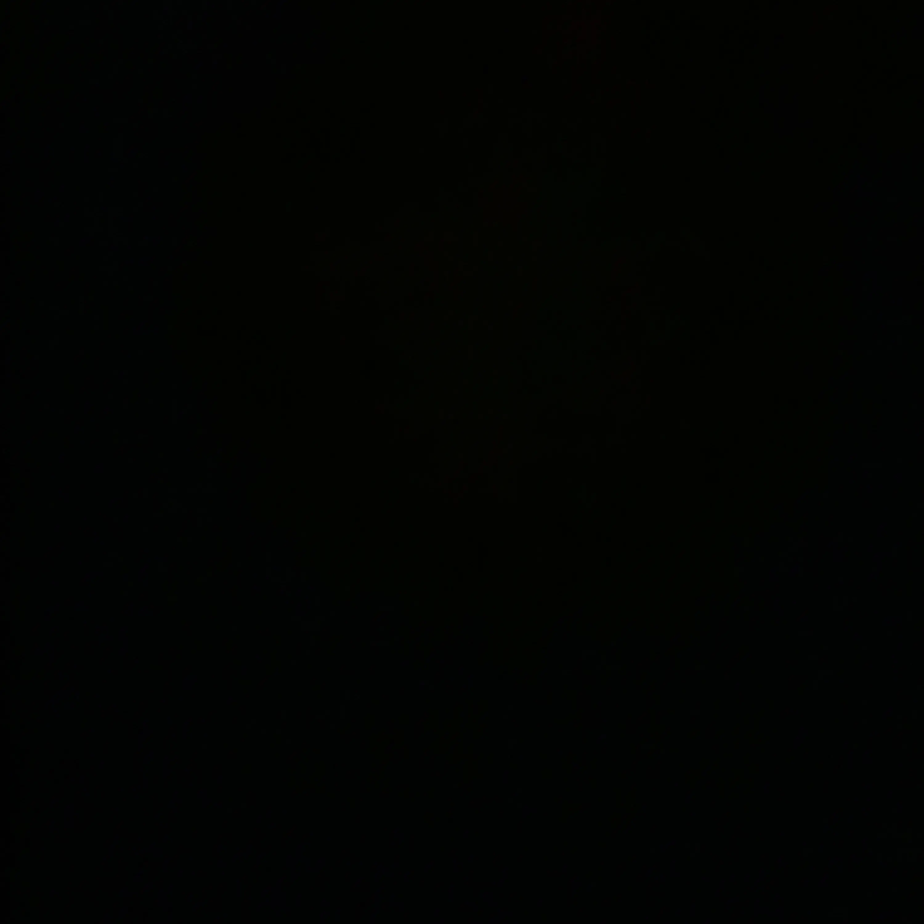 ChubbyGoosep6939의 .