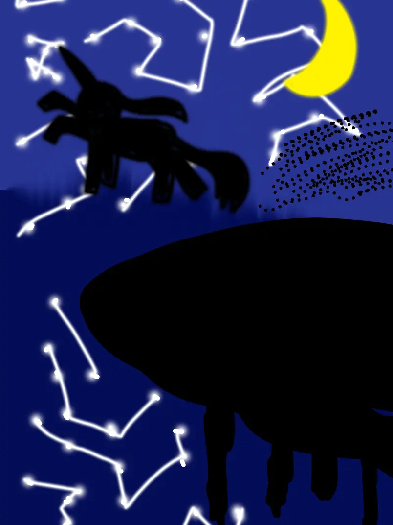 FabricCheek3226의 스프런키학교당신은전학생!?