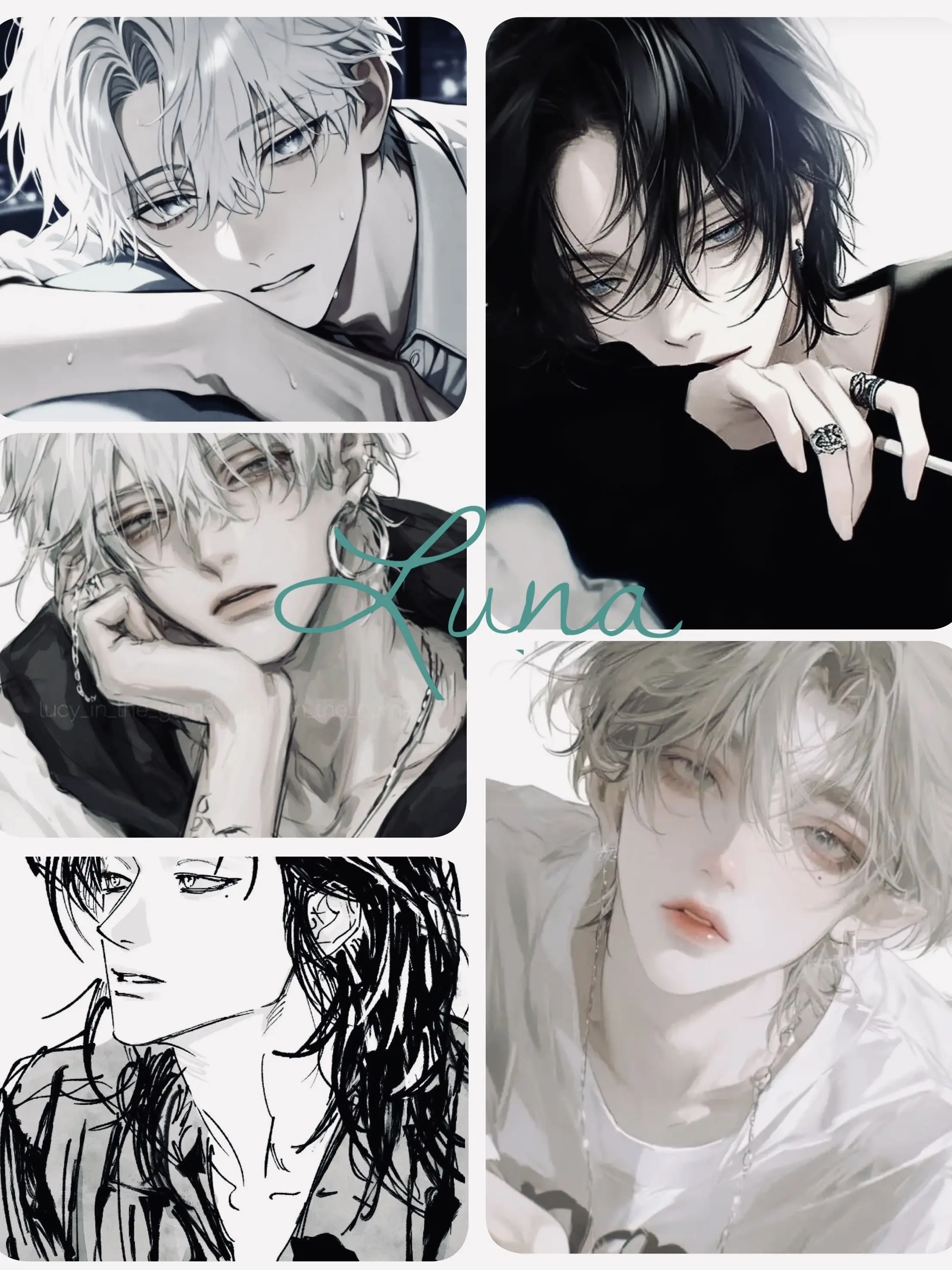 NimbleOrgan5633의 Luna