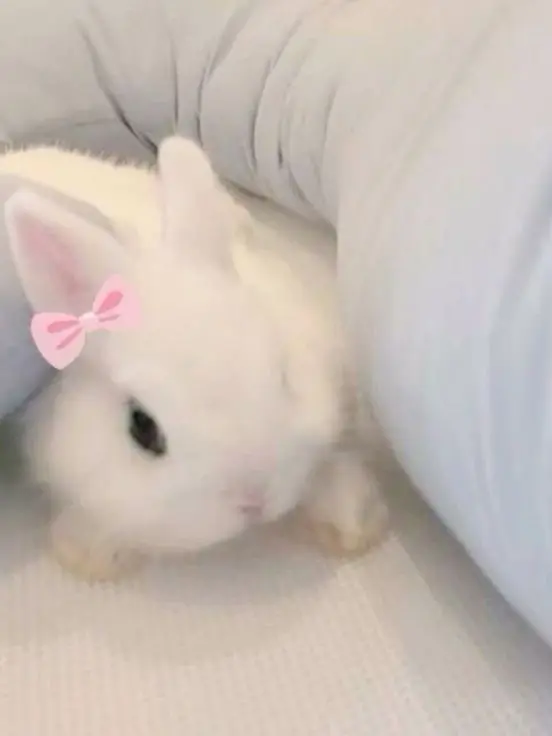 sul_xa의 이상원