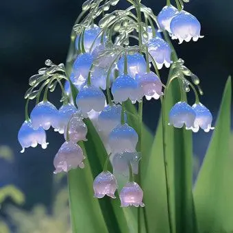 Haru1740의 5살 흙수저 유저 문구점 사장 미겜즈