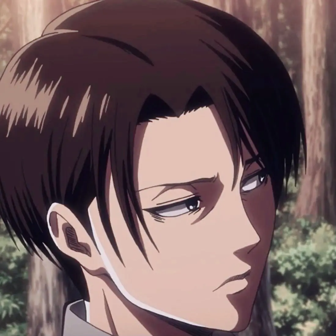 lela10viw의 リヴァイ F≧L<