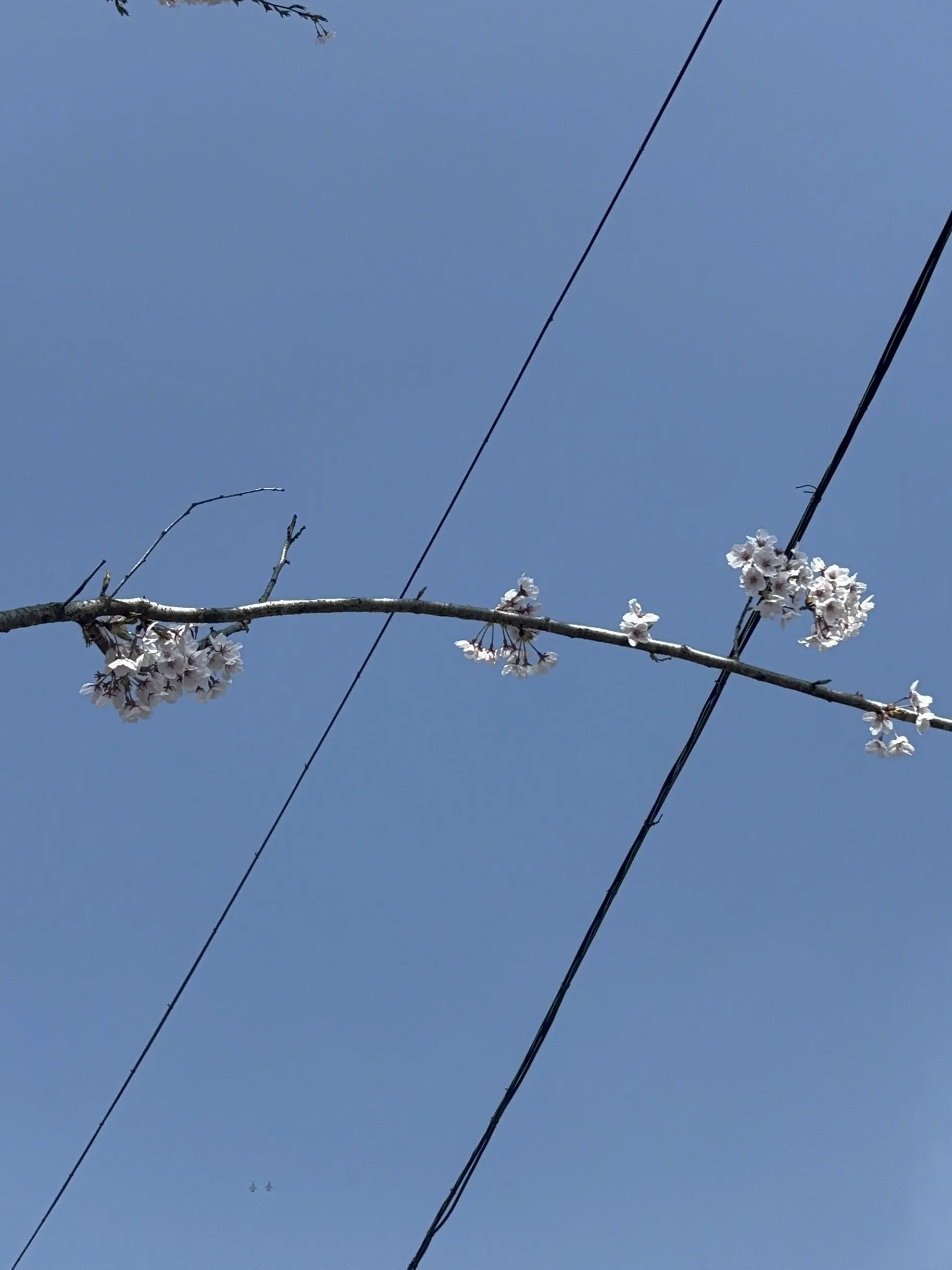 Ihatemondays의 나 이제 어떡하지.