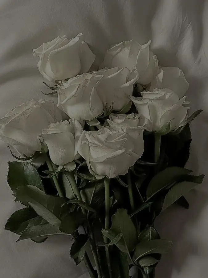 Tenko0404의 왕과 사는 남자