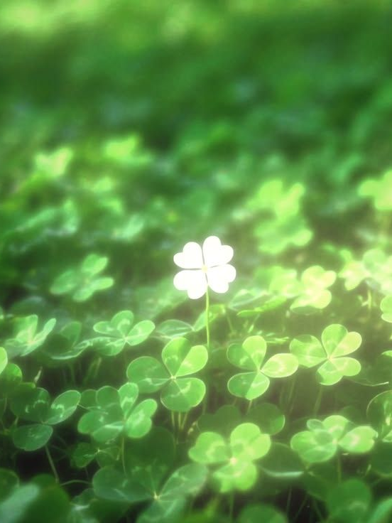 권지용 대표 이미지