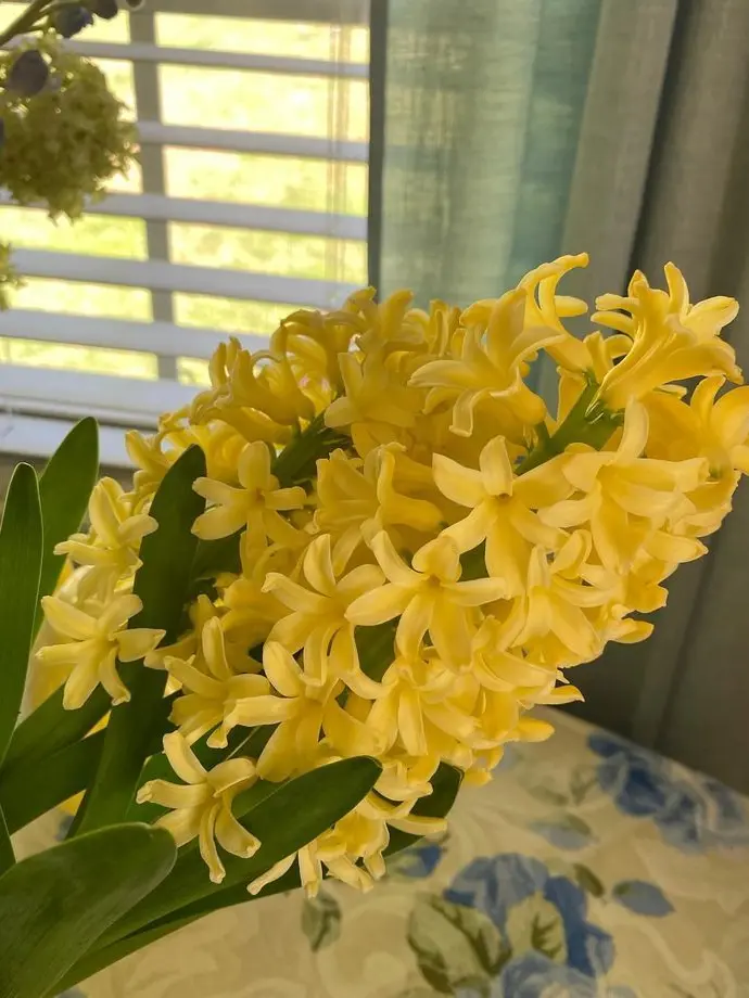 Dujokku의 『 聖なる狼よ。!!!! 』