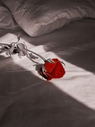 OldCopy3235의 산타가 아니라, 사탄이 왔는데요..?