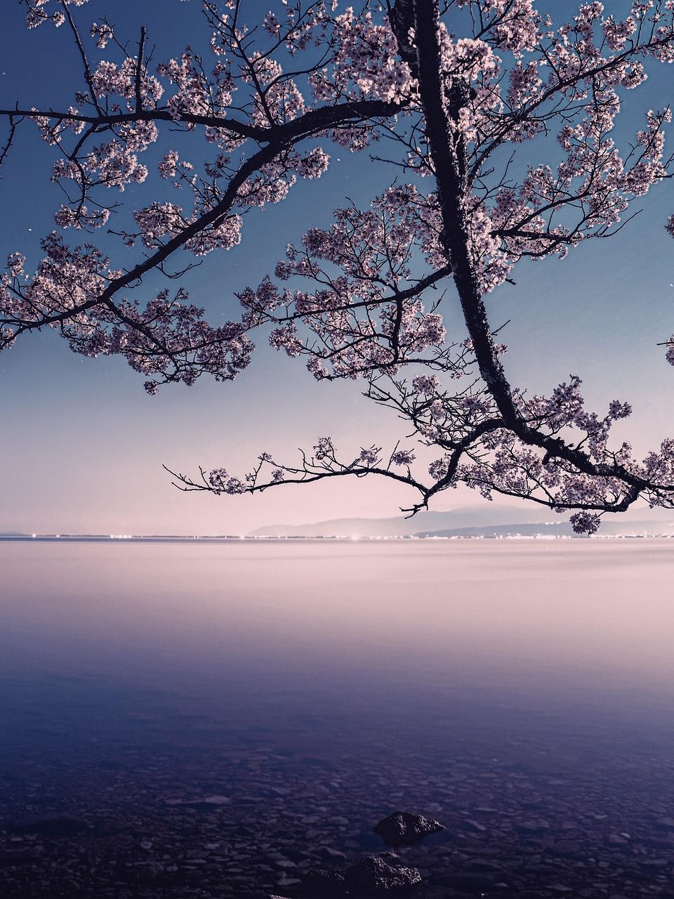 𝓙𝓪𝓹𝓪𝓷 [일제 버전] 대표 이미지