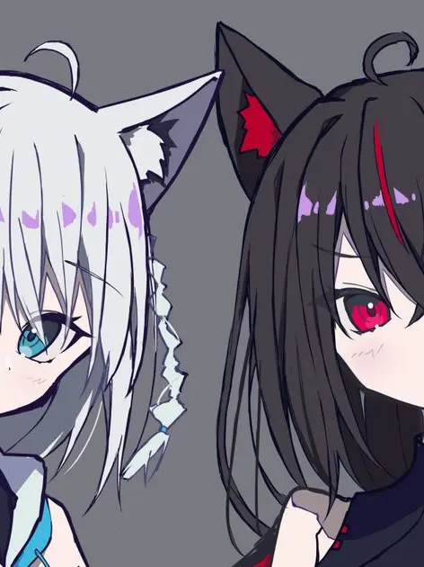 SassyDill4120의 白狐と黒狐と学校生活