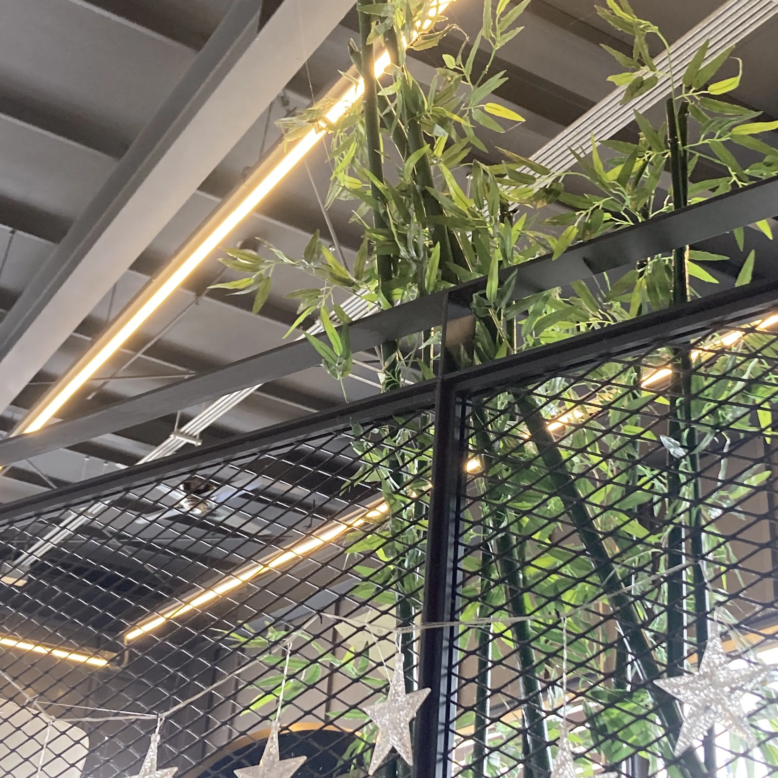 MilkyWayCookieVeryCute의 비스트/에이션트/여우 깡패(?)