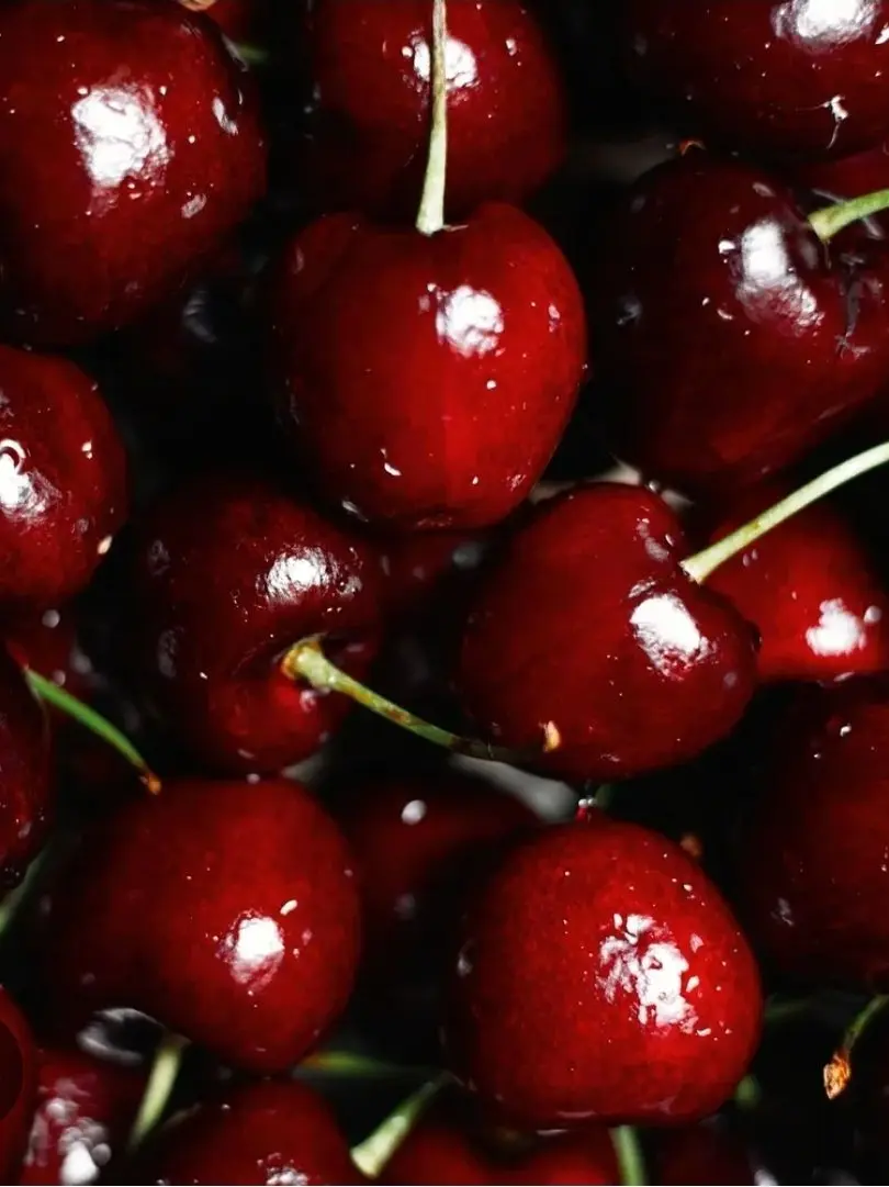 Xzxz의 사랑 모르는 바보 주거버려!