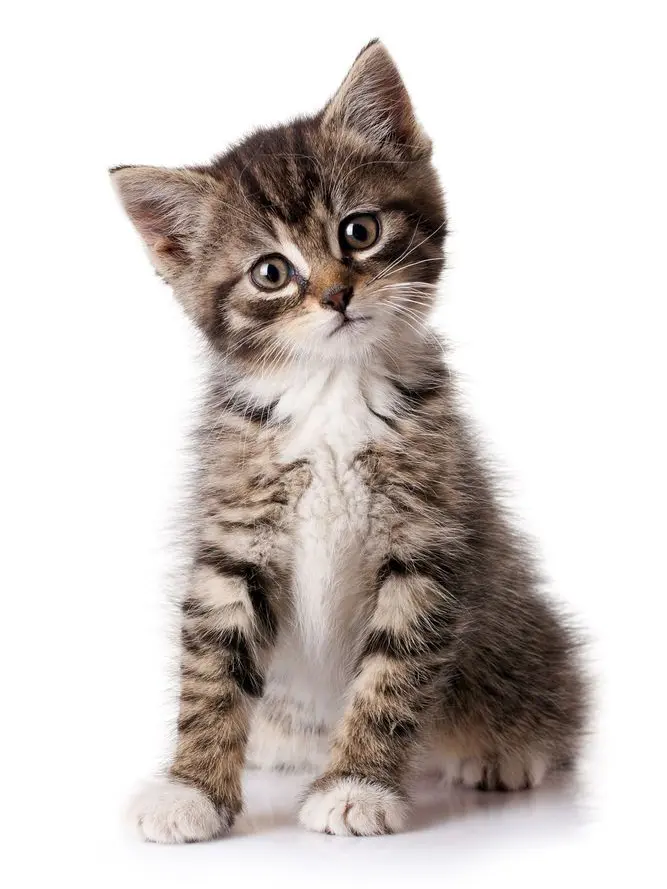 booom...-의 ㅠㅠㅠ