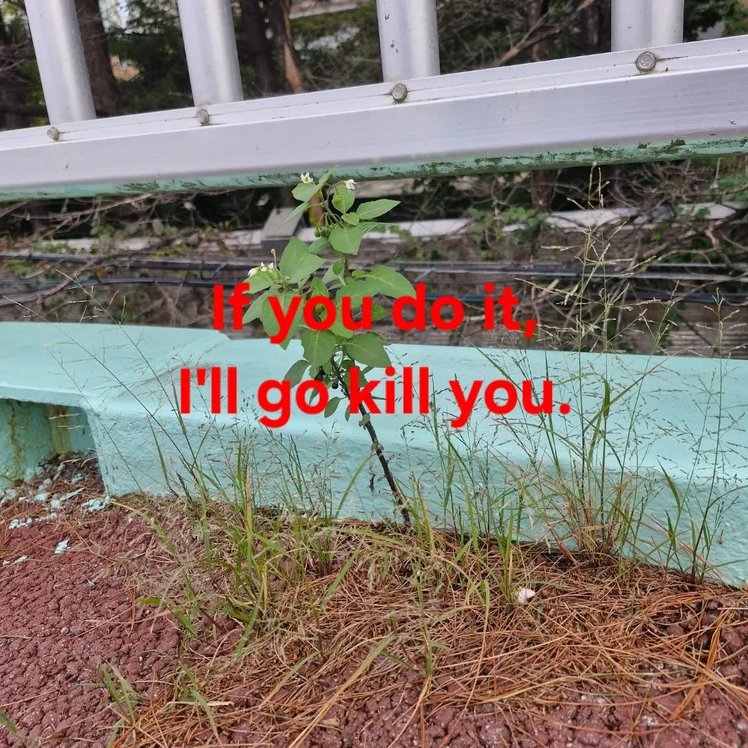 JoyfulGlass1294의 베렛