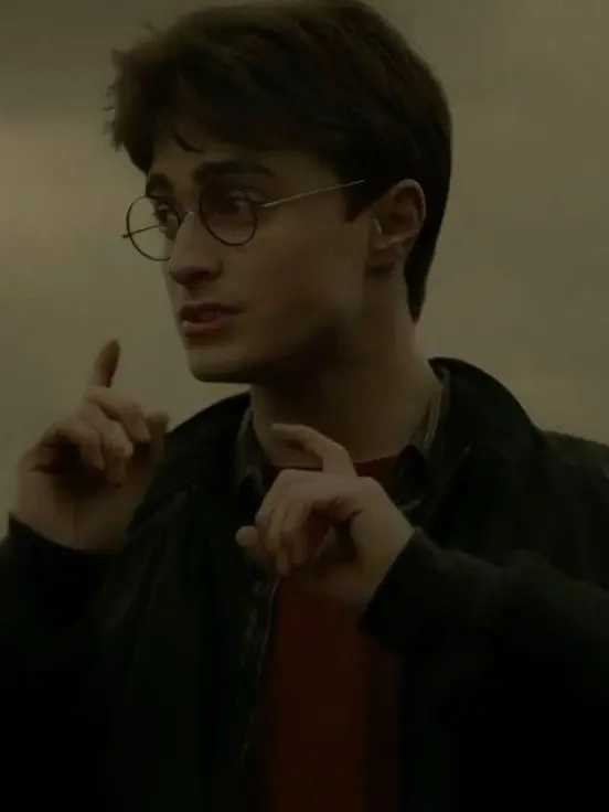 Wackywaldo의 Harry Potter