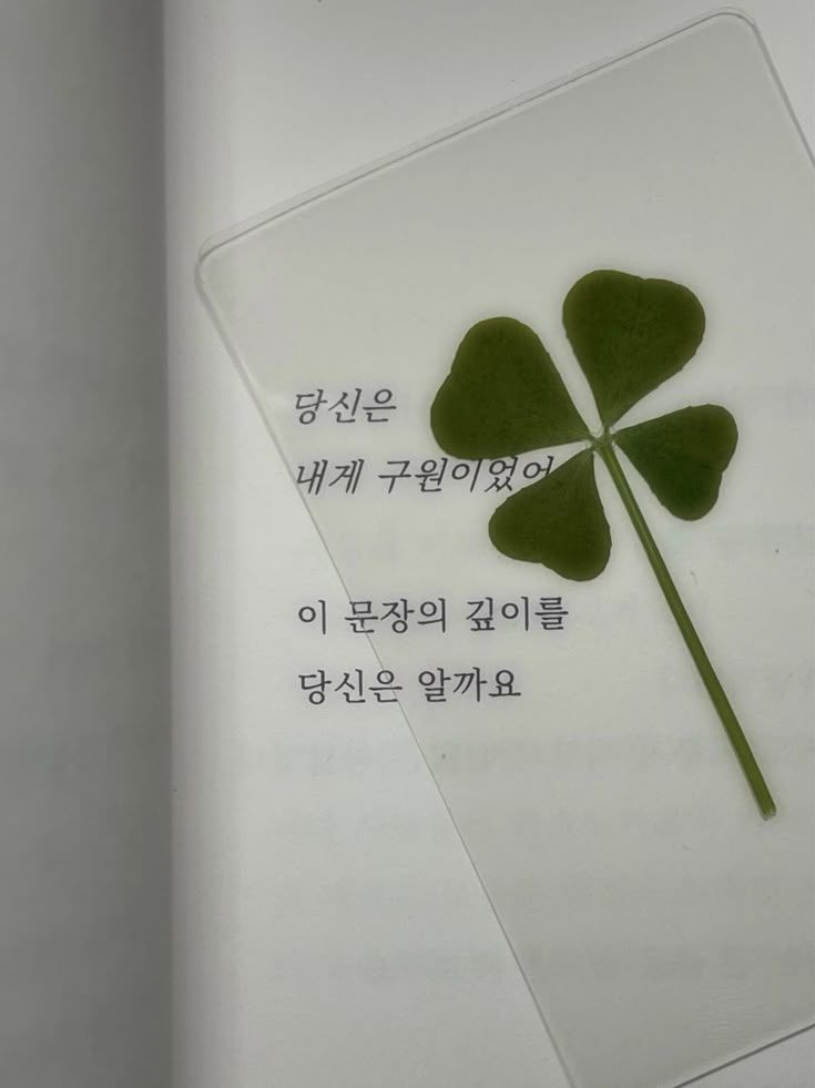 팀나빠 대표 이미지