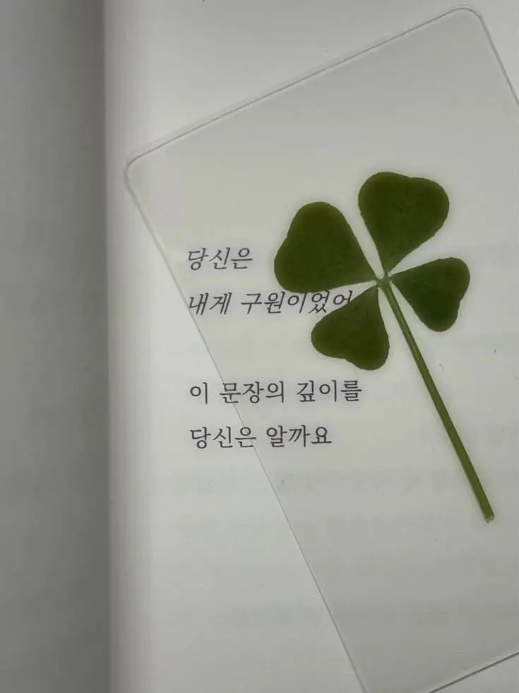 hysss의 팀나빠