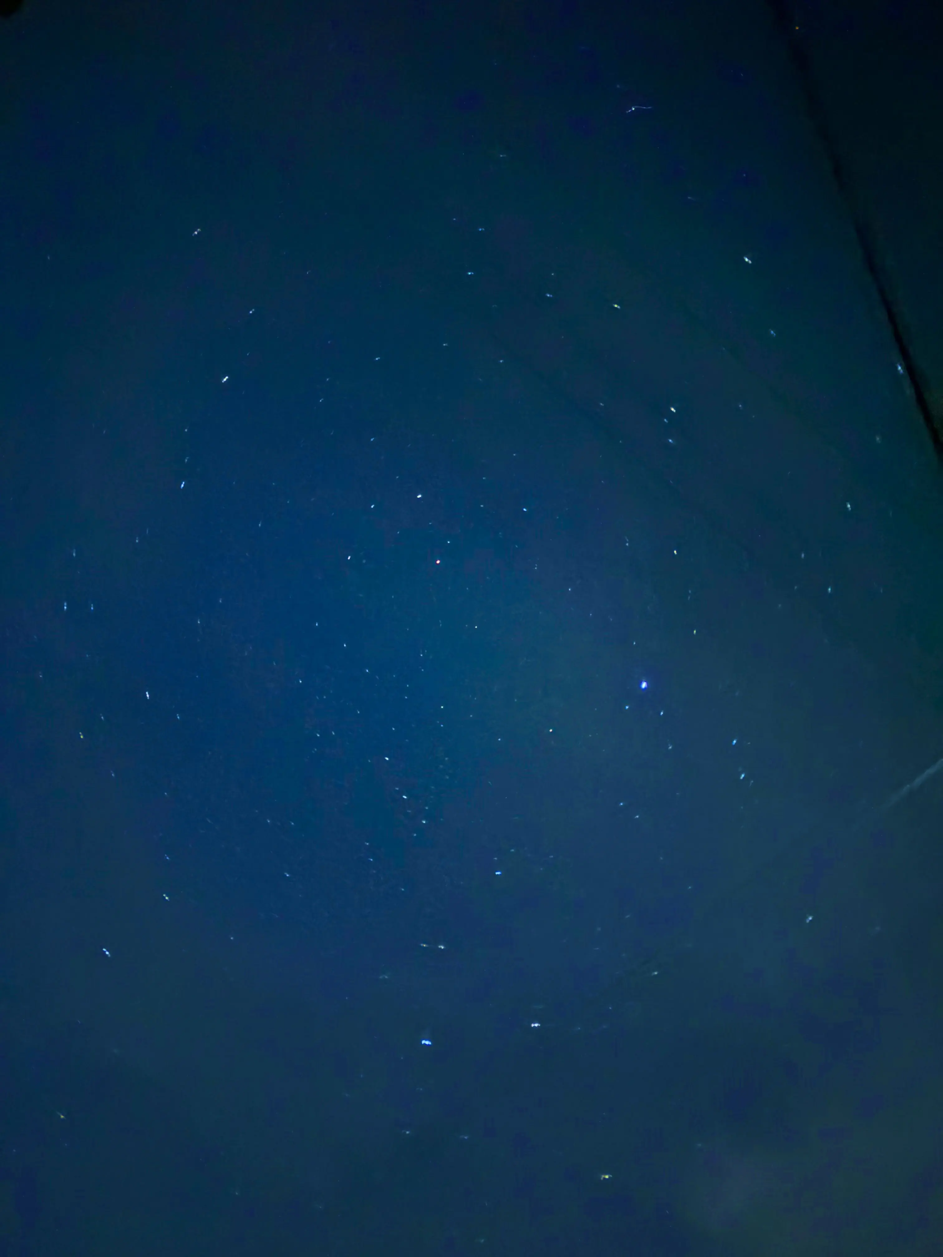 LeanRake7330의 "堕とせない"先輩