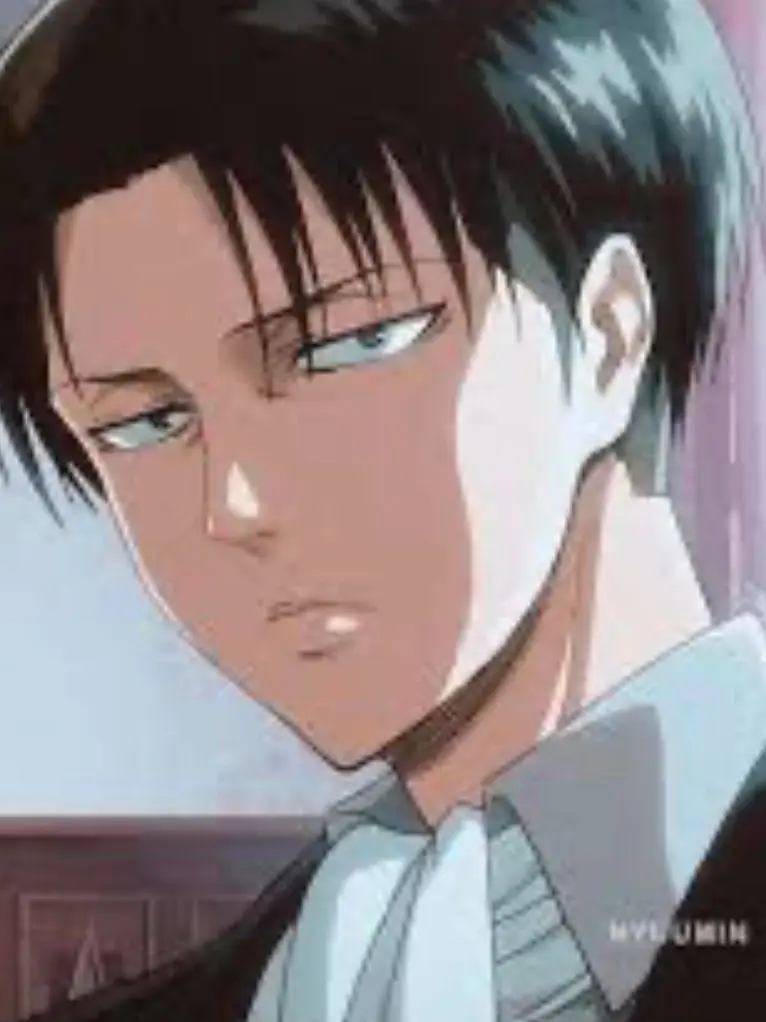 sleppy.p0tato의 AOT - Levi Ackerman
