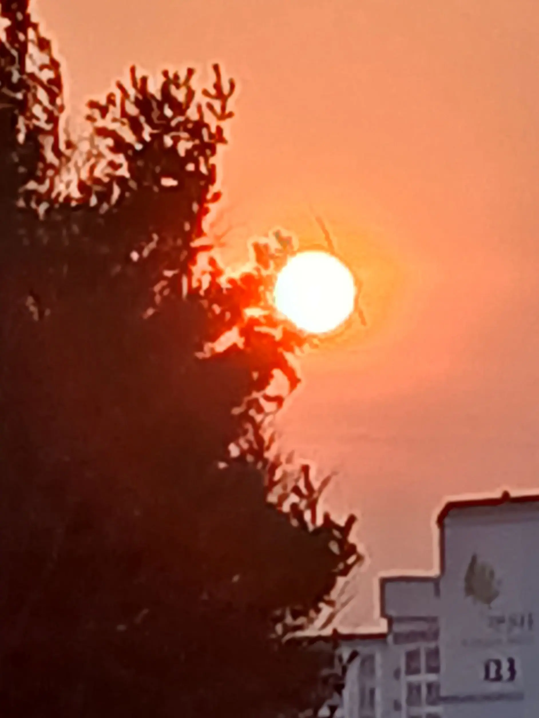 NutmegSpit3425의 플래이브+차별가족