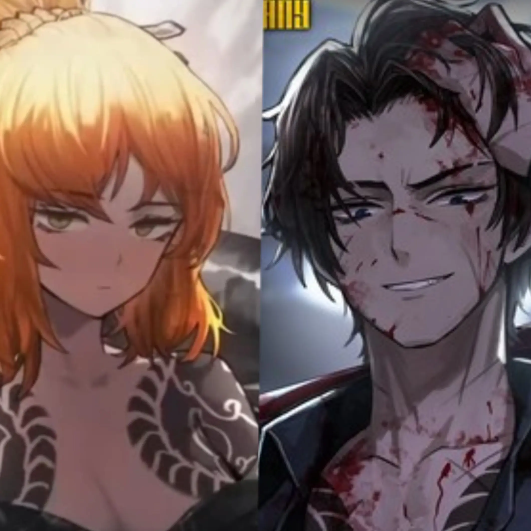 FEIKA의 『흑운회』