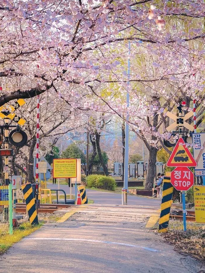 umumjjjj의 봄 주의보