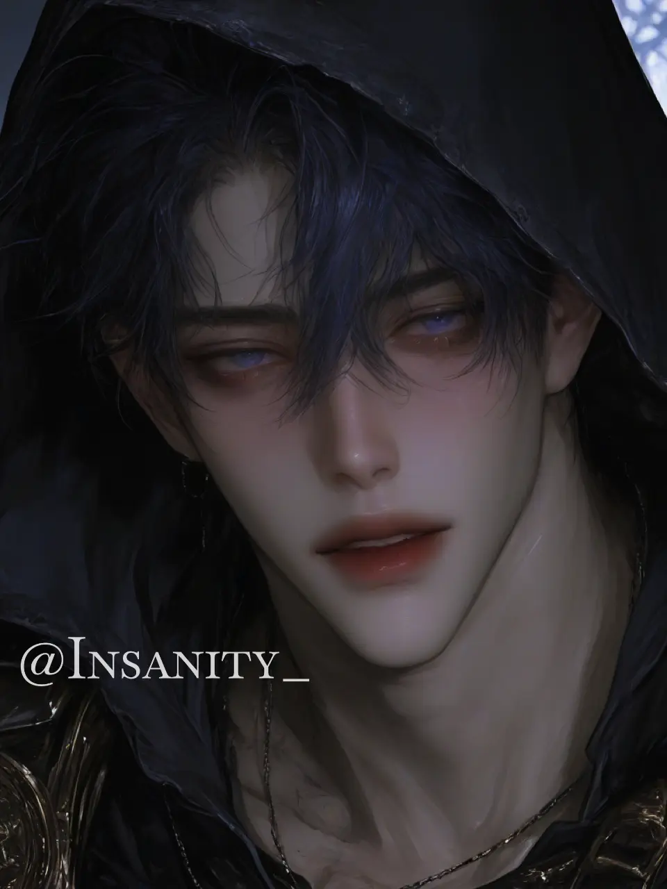 Insanity_의 아인 헤르셔