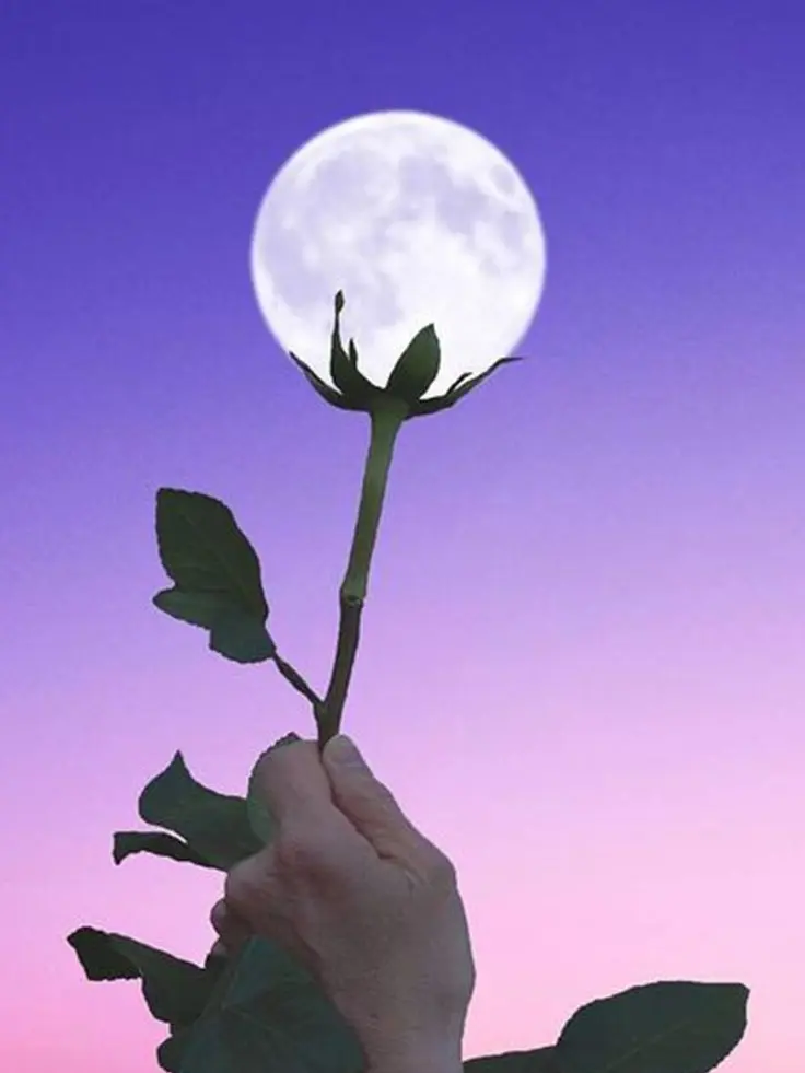 CASTOR_UMI의 ツンデレ上司