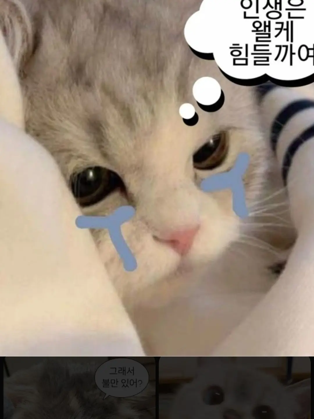 ililliillili_416의 컨휴