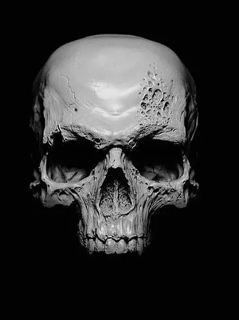 SnugZoo5906의 Skeleton Rebirth RPG