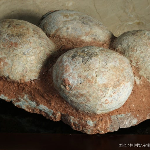 공룡알키우기[랜덤으로 공룡이 태어남] 대표 이미지