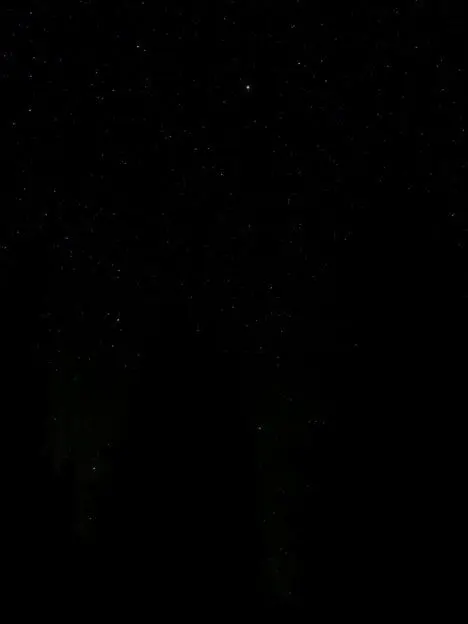 SnarlyAlert3705의 열혈사제/모범택시/범죄도시/천변