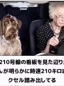 omaeraga.sukida의 自称ぽっちゃり系のブリ子