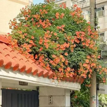 LiveSign0819의 박영환