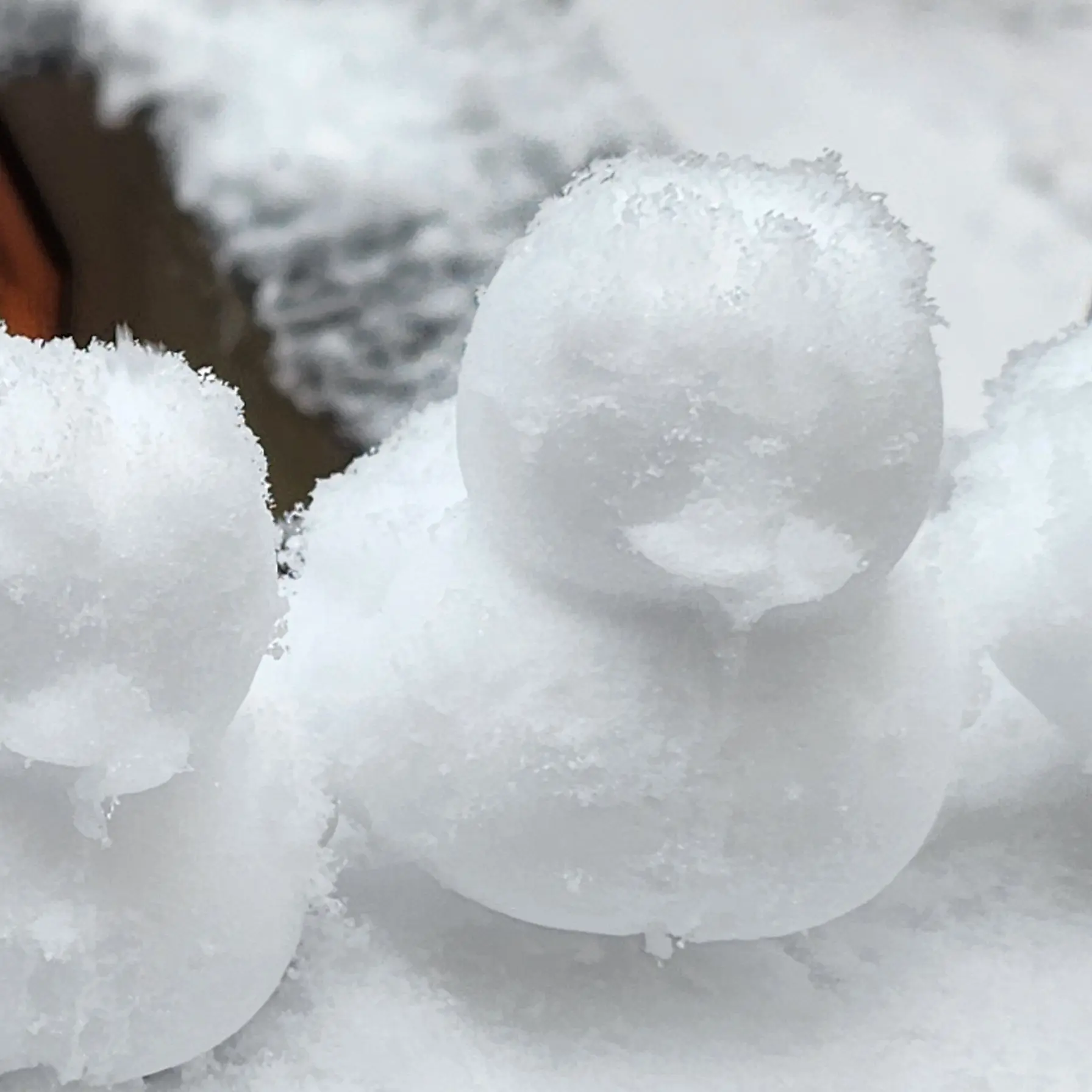 singgonum의 물망초💧