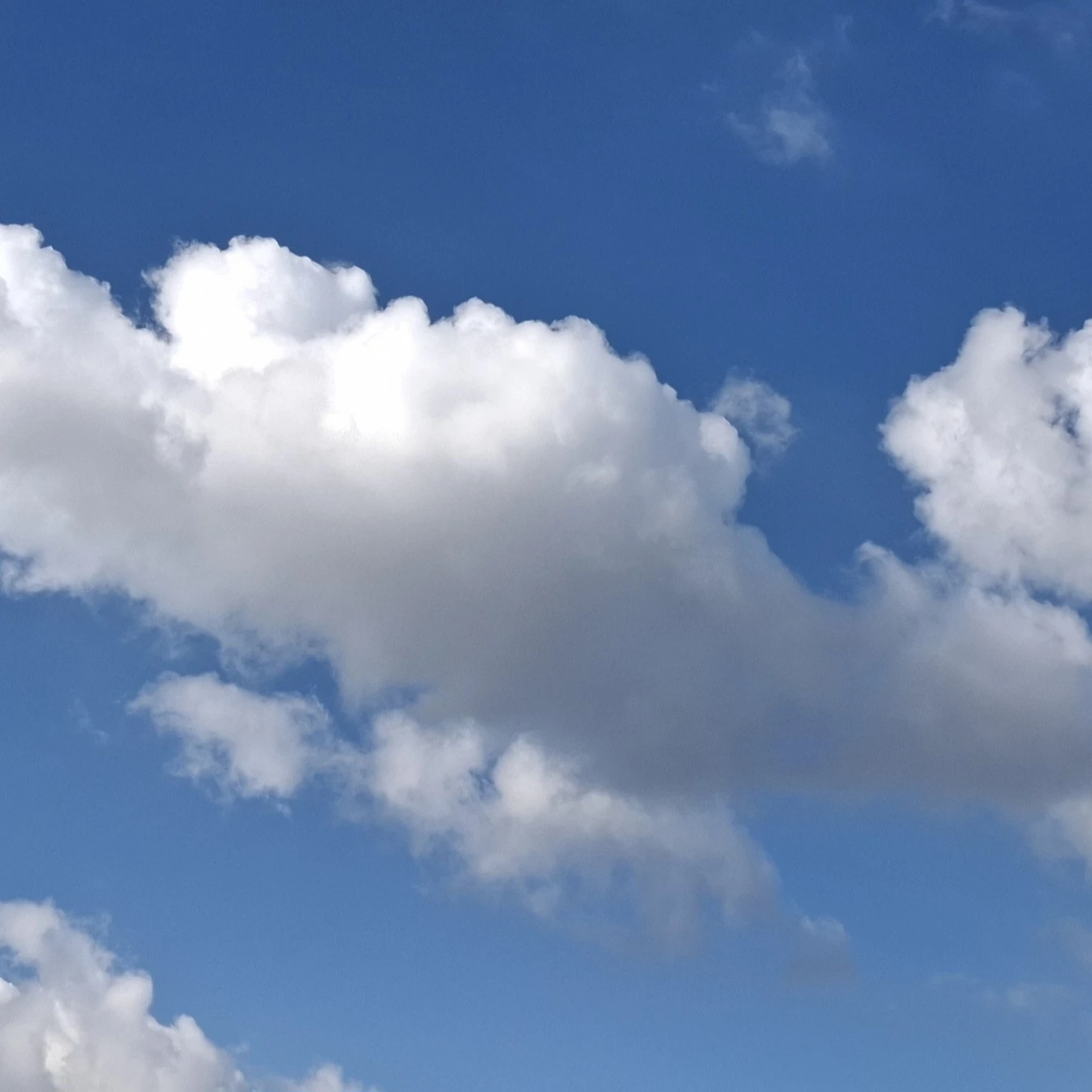 당신을 러브하는 최성우