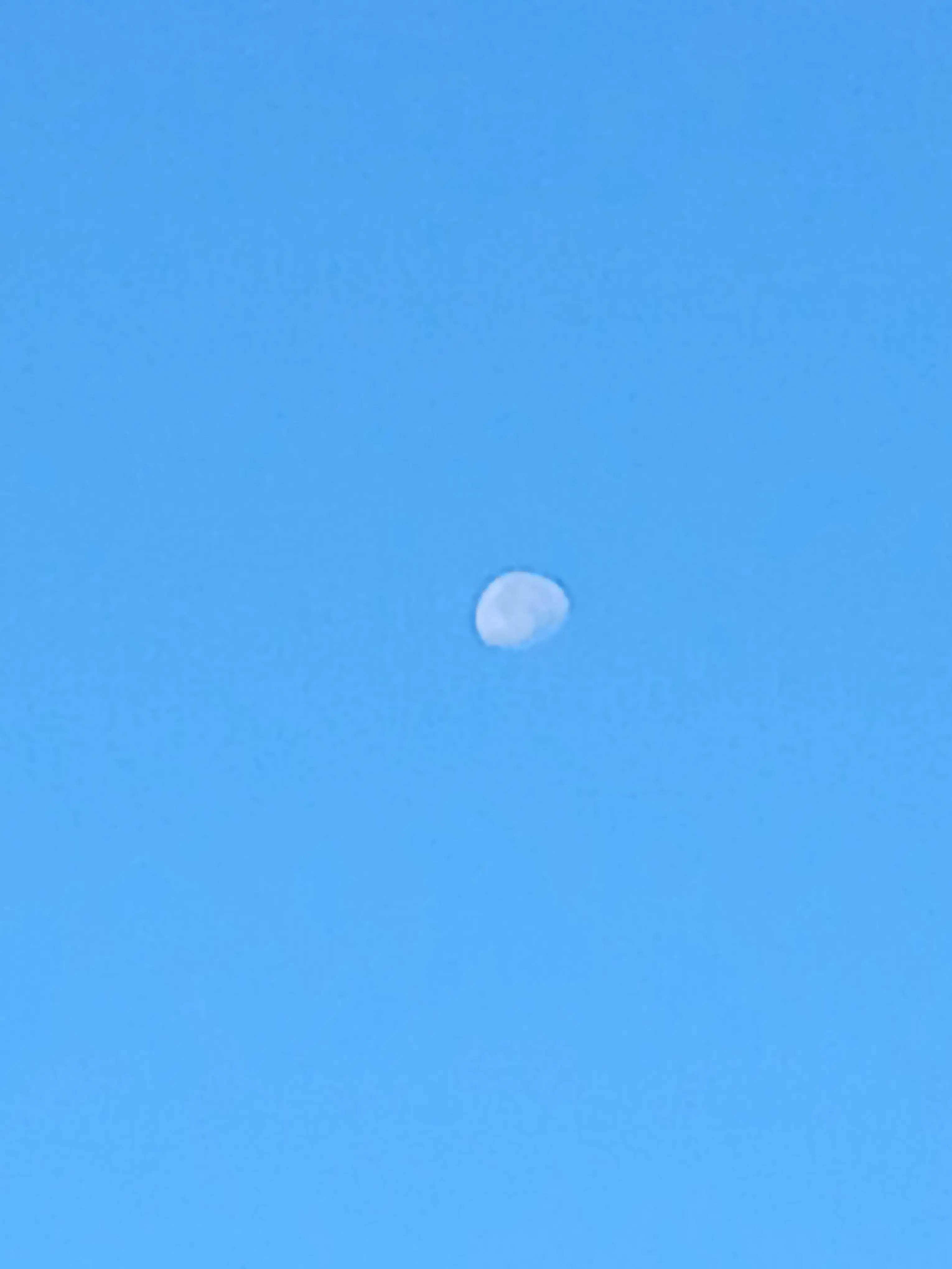 WryQuote4090의 학생 경찰특공대 (드래곤 세계)