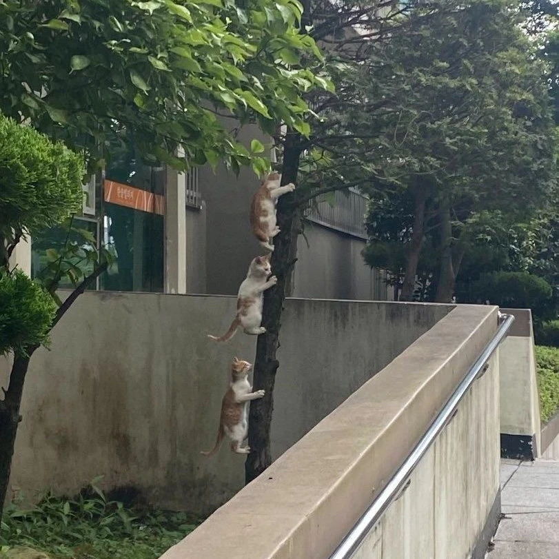 유지민
