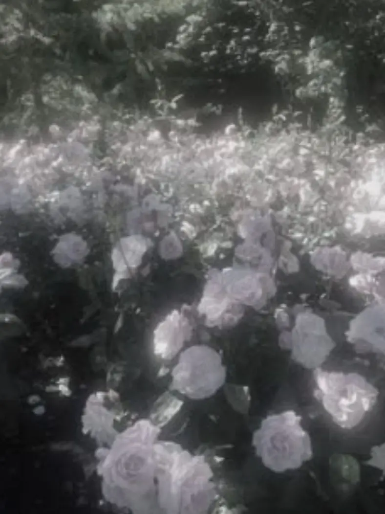 HomelyGesso1614의 声優さん達に好かれている