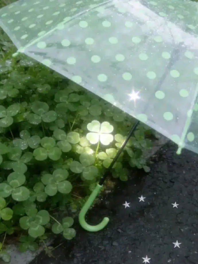 JovialAunt6470의 体育祭から始まる恋🍀