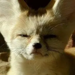 somyeol1-love의 여우가 되서 그냥 여우짓 하세여^^