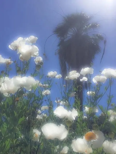 x.uri0의 paradise