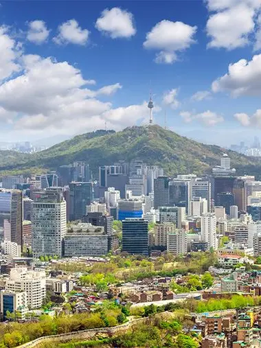 MustySwipe6557의 스프런키(누명)