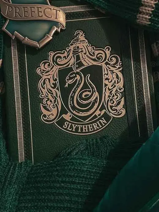 WarrenVenus의 Slytherin boys