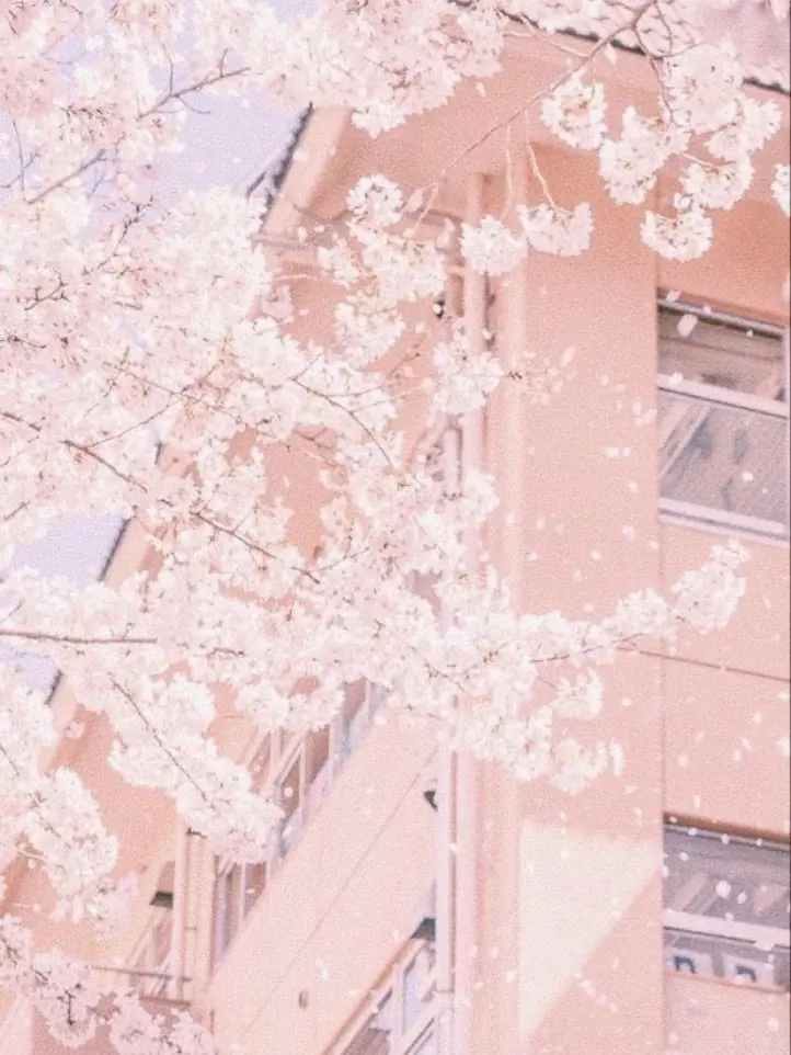 SecureBrush8527의 桜の雨 が  降る頃 は　…    .ᐣ