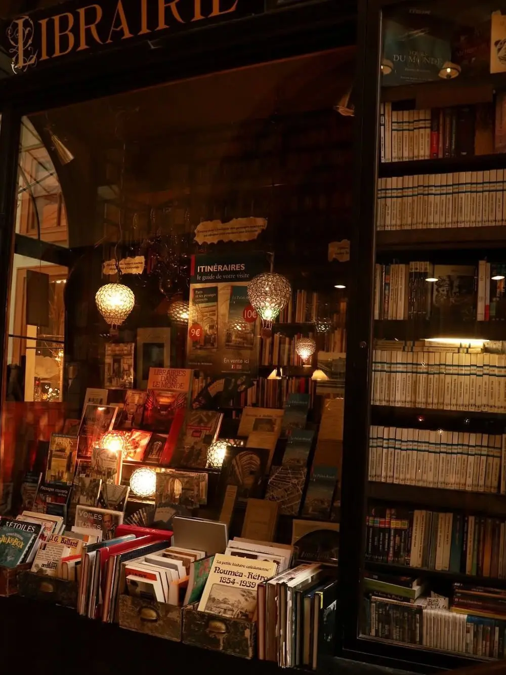 hirakoshinjionnichan의 本屋の主人