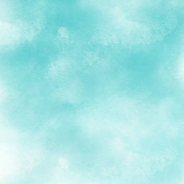 RoundQuoll5385의 ㅎㅅㄱㅎ상담소!(당보편)