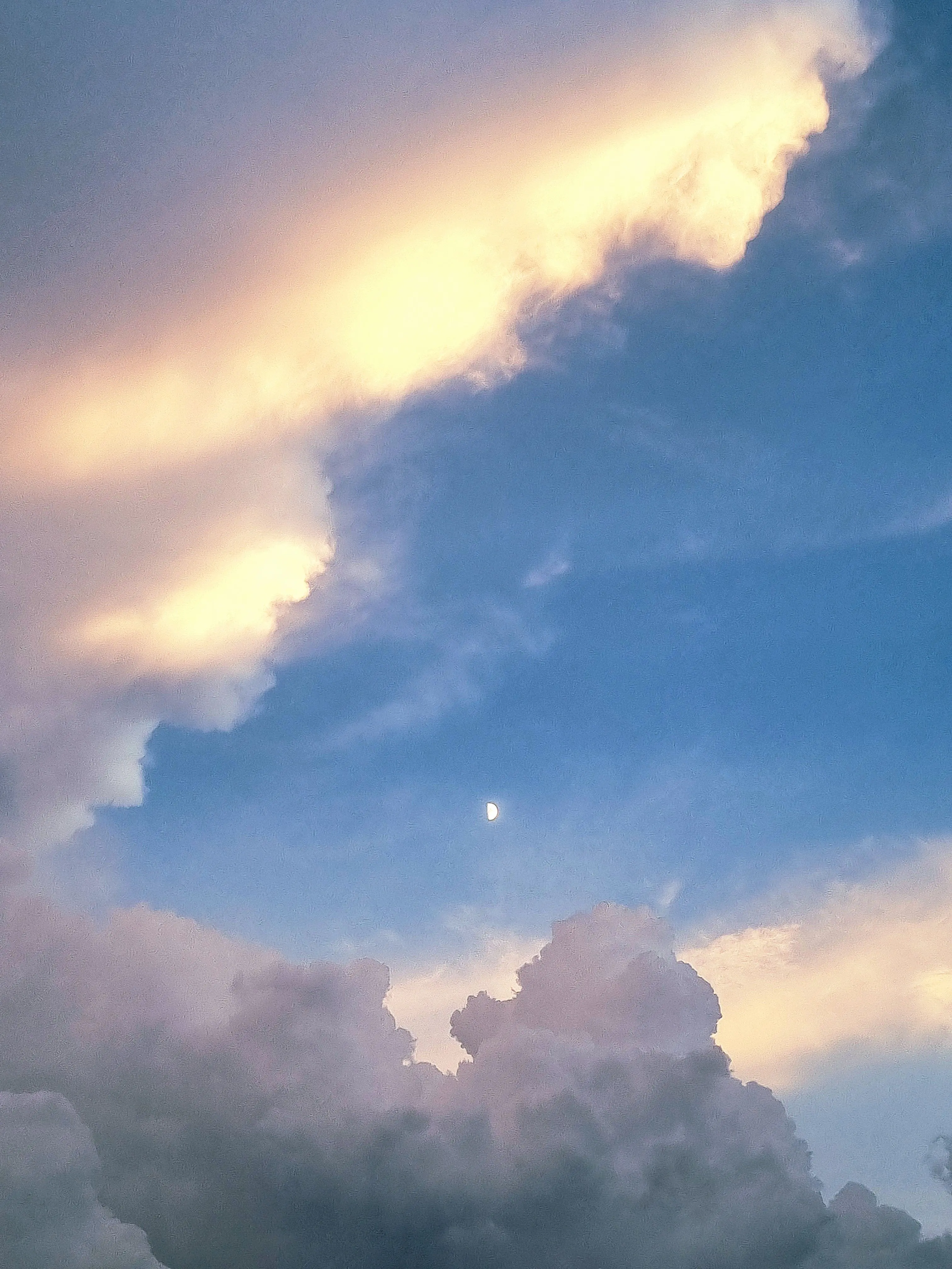 phonk_q18의 남녀무리 (여우)