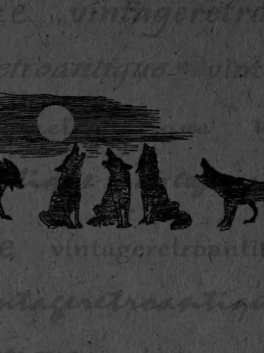 Zeezabradaba18의 Werewolves